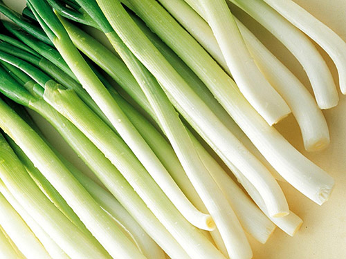大葱